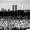 WTC_215_100