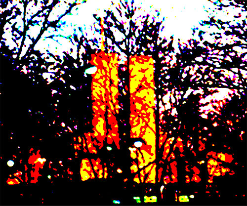 WTC_520_100